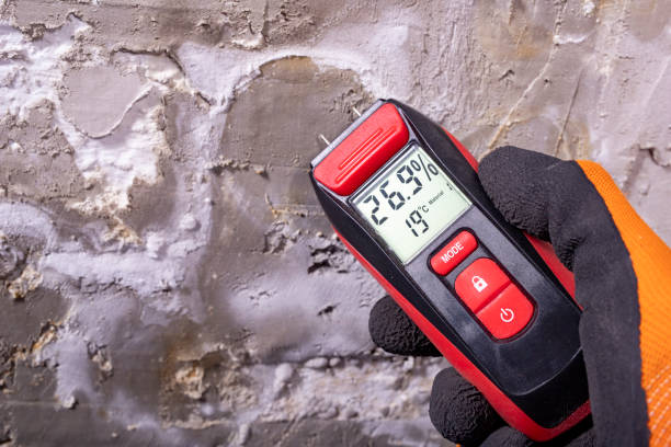 Best Mold Removal Process  in Mattoon, IL