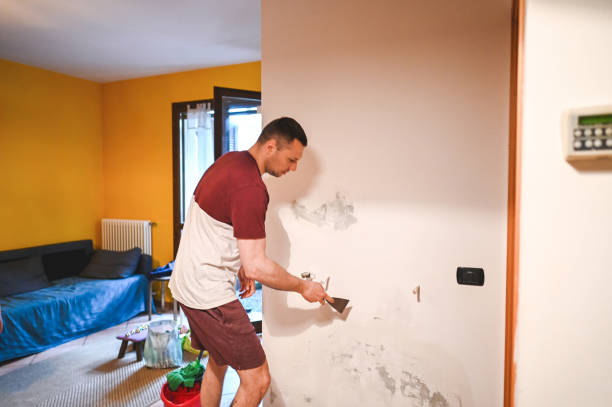 Best Mold Remediation  in Mattoon, IL